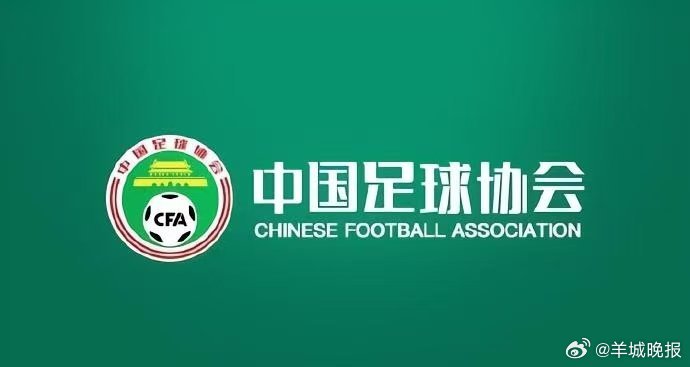 【#中国足协对17人发终身禁令#】中国足协公布第三批禁足名单：丁勇等17名从业人