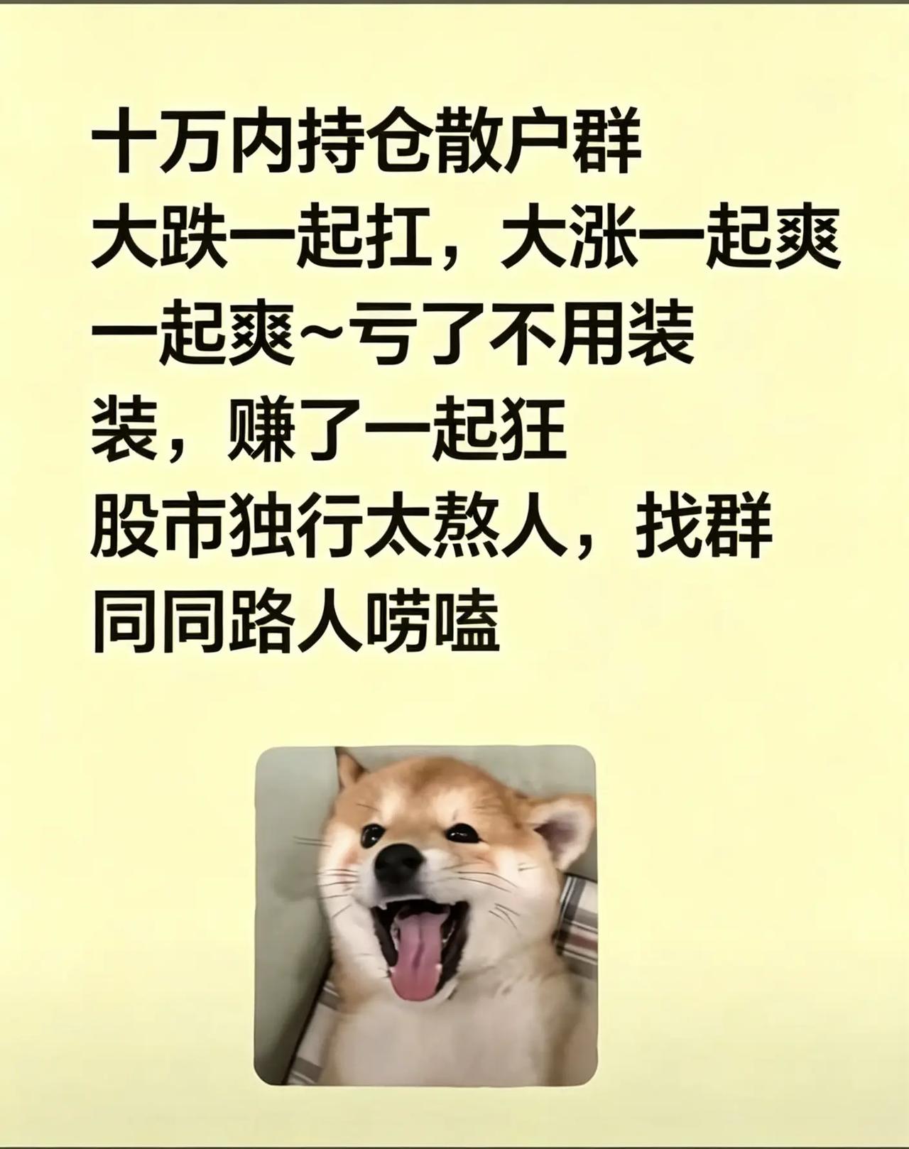 股友交流 股友交流 股票搭子 小散抱团取暖 韭菜交易员
