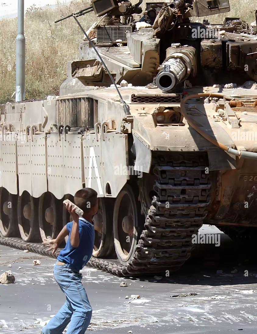 一个孩子，面对坦克却毫无惧色，无所畏惧。
不是勇敢，是家没了，亲人没了，世间再无