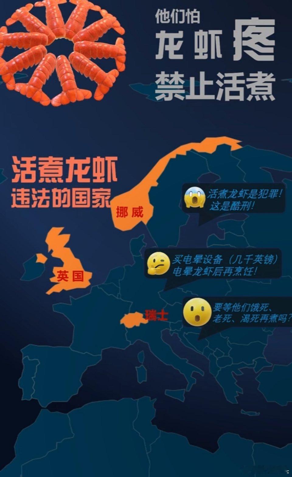 英国将禁止将活龙虾直接投入沸水烹煮什么是西方伪善的嘴脸？这就是。它们怕龙虾疼，就