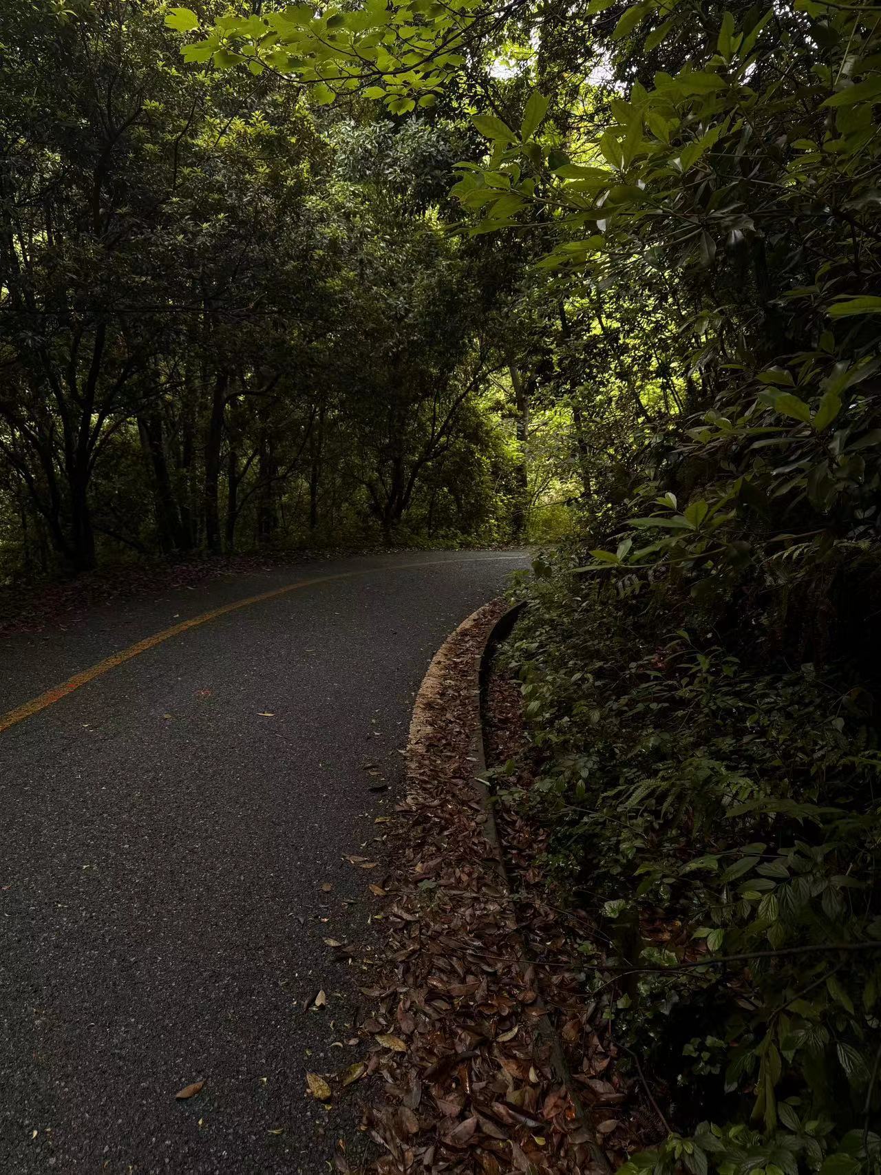 🦟[泪]🍃 ​​​