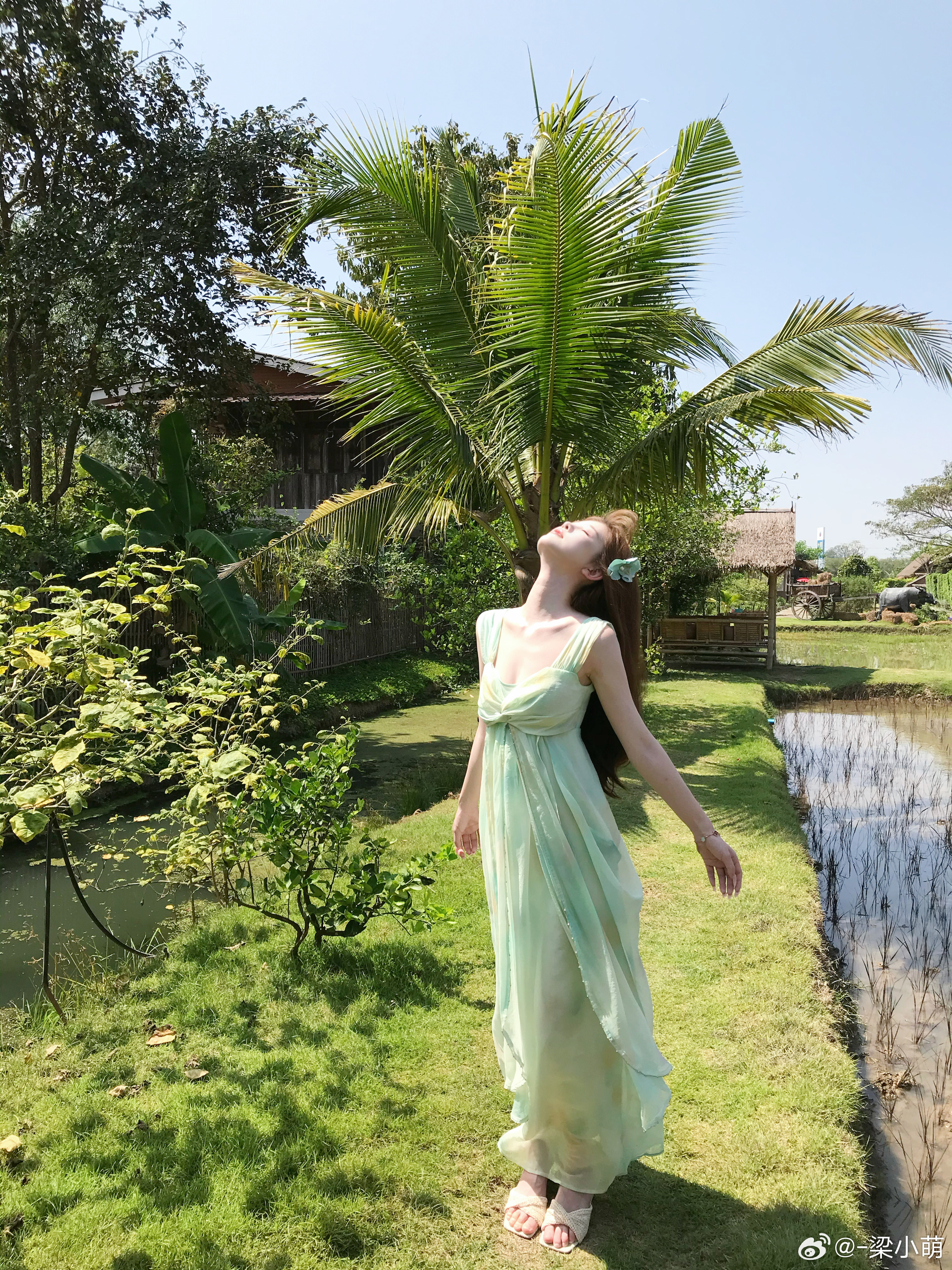 去清迈过夏天啦🍃甜妹仙女裙度假春夏穿搭今日穿搭(ootd)来拍照了﻿ ﻿手机摄