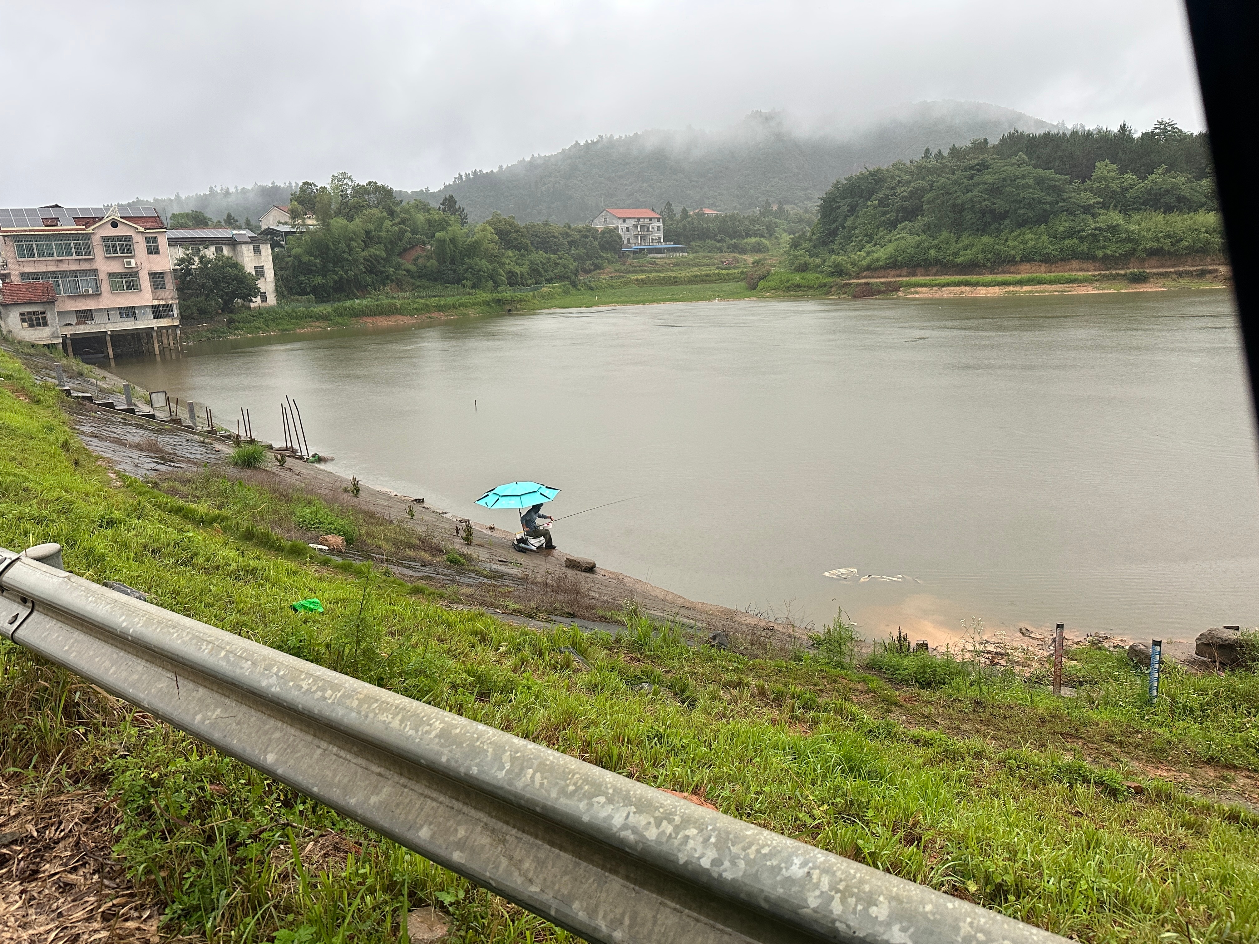 鱼鳞都没看到一个。水库也去了，更加没得。下着雨，一身湿，真是作孽 ​​​
