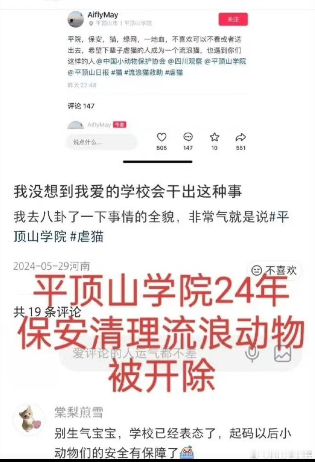 2024年，该校保安依规清理流浪猫狗（此前已有抓伤学生）被网暴扣“虐杀”帽子，学