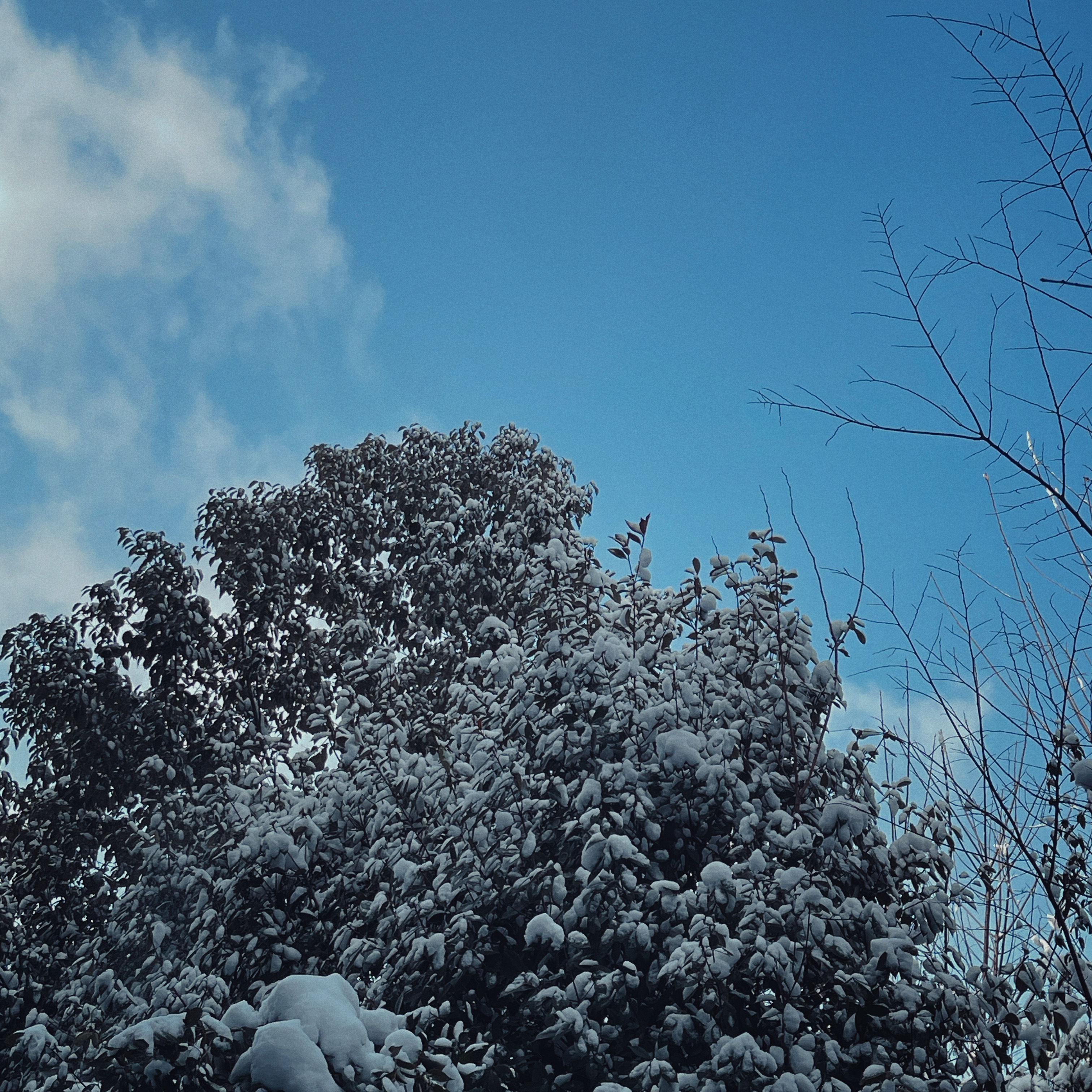 开始化雪了，搓个雪球当纪念 ​​​