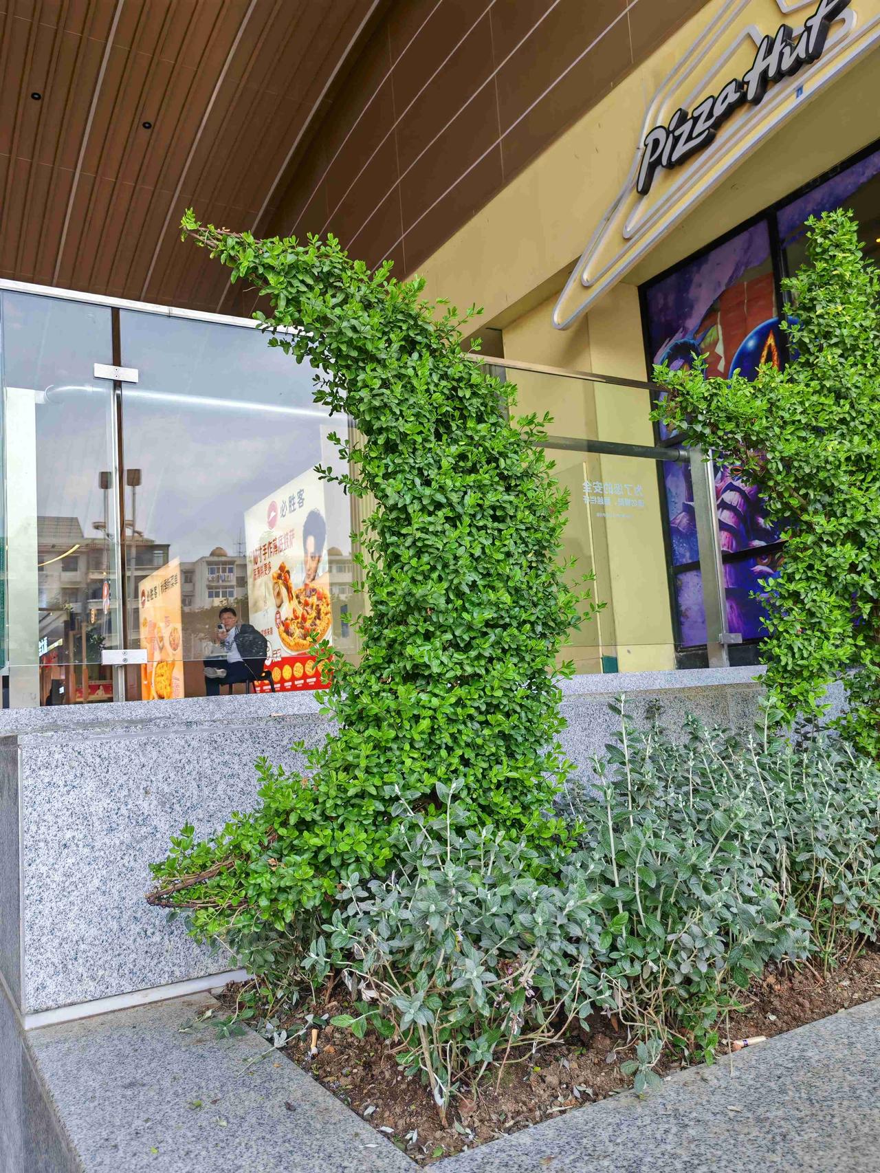 我的今日状态：😁轻松愉快
我这里的天气：☀️晴天