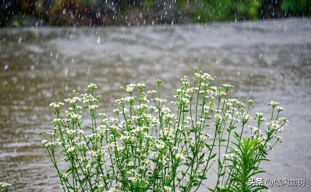夏雨