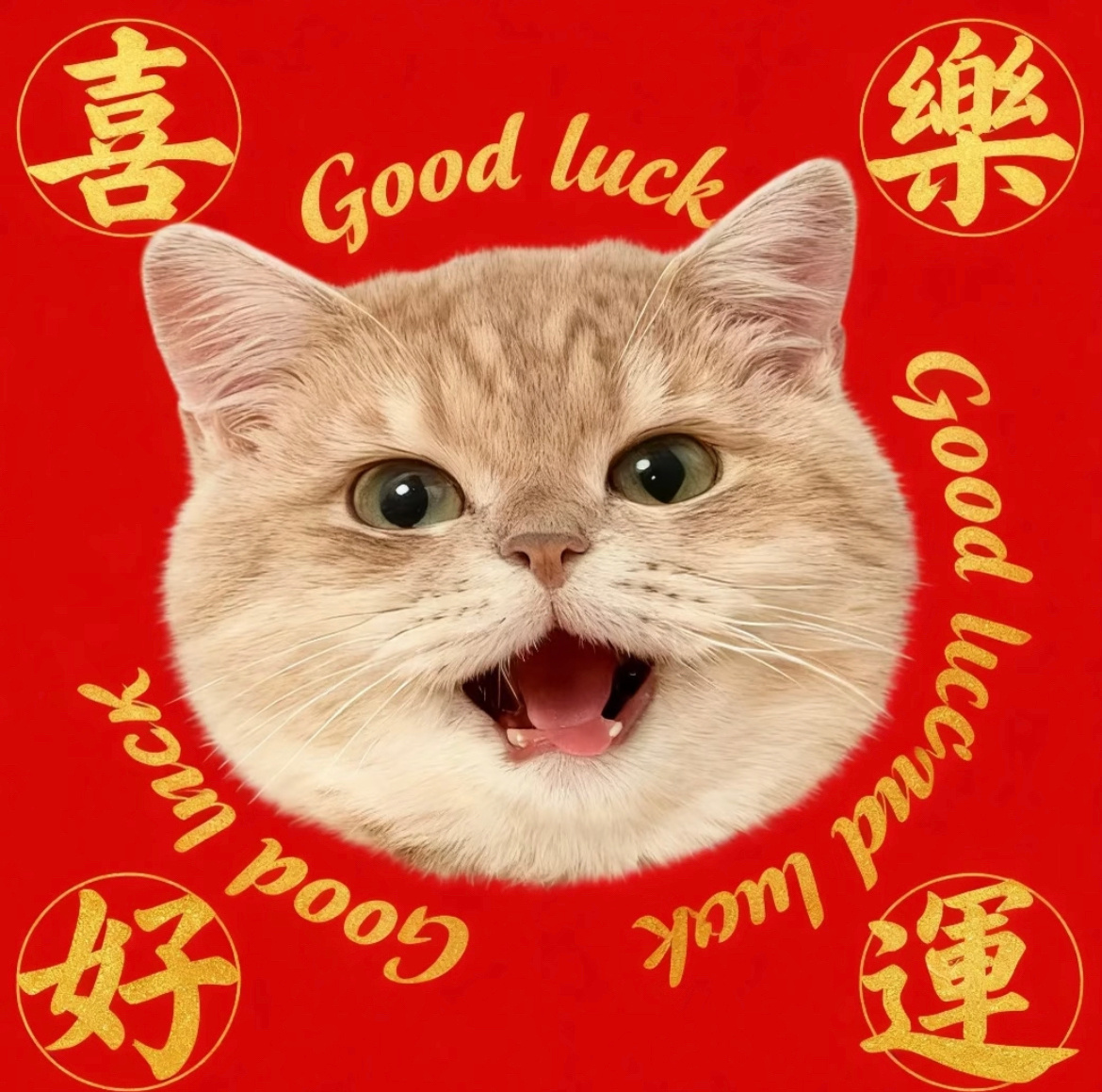 新年快乐～家人们早哇让我们拿出跃马扬鞭的勇气，激发万马奔腾的活力，保持马不停蹄的