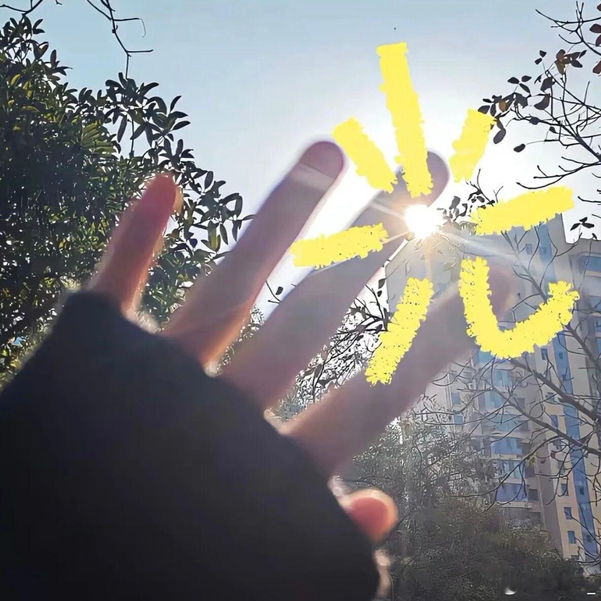 借点阳光，晒点快乐，乐观积极，必定风生水起 