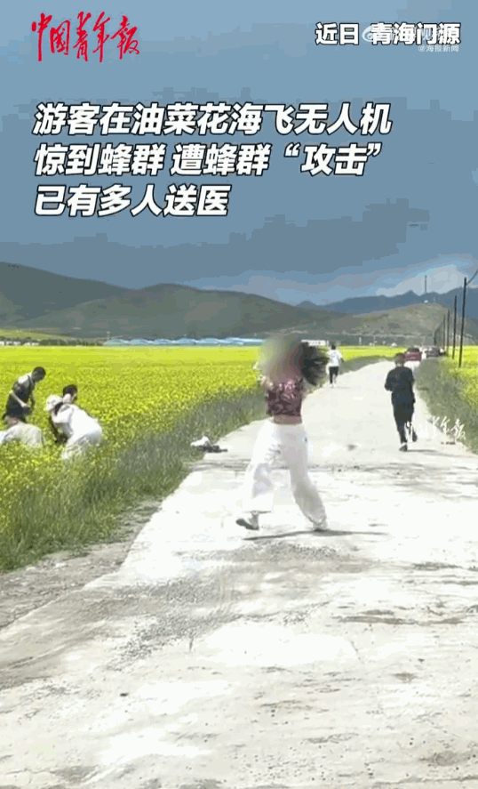 青海海北，几名游客自驾前往万亩油菜花海赏花，刚推开车门就遭到蜂群围攻，众人被蜇伤
