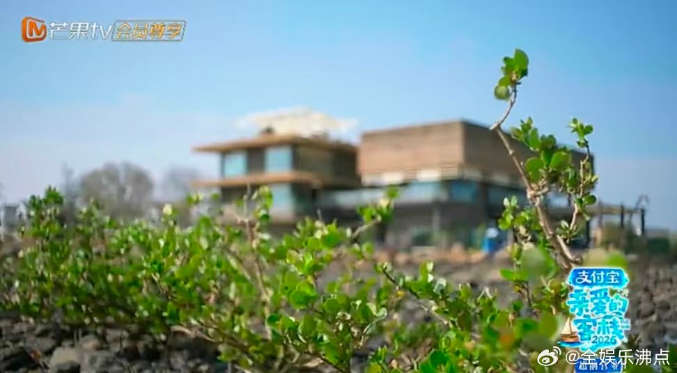 三傻兄弟海边温馨夜聊亲爱的客栈芒果TV超前营业更新，三傻兄弟海边温馨夜聊，王鹤棣