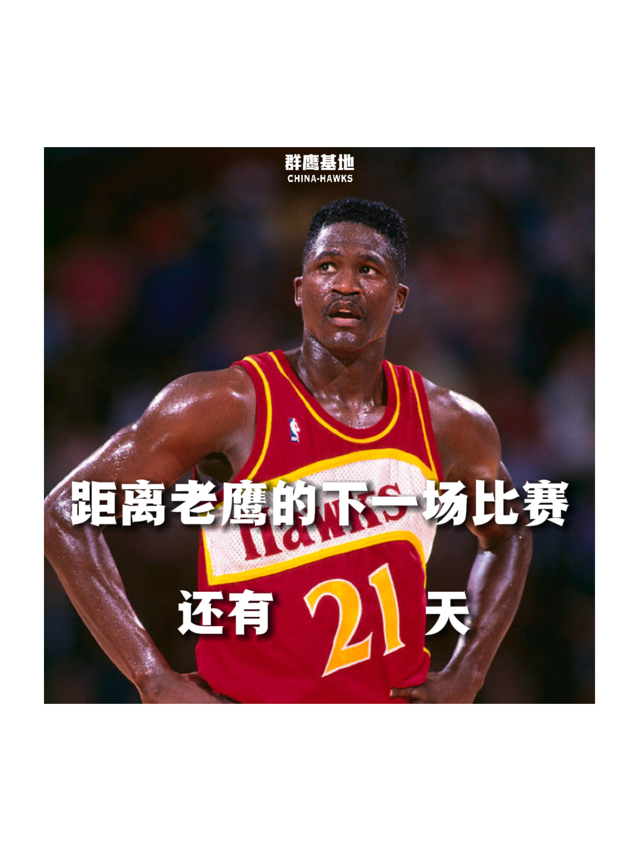 𝐂𝐨𝐮𝐧𝐭 𝐃𝐨𝐰𝐧 距离亚特兰大老鹰的下一场比赛还有21天❗