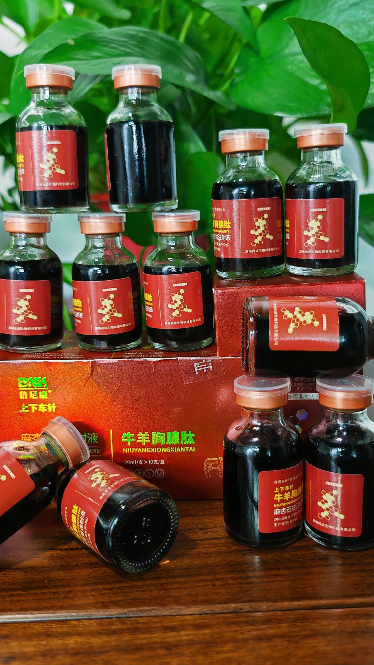 养羊人 养殖场专用 牛羊养殖 农村养羊