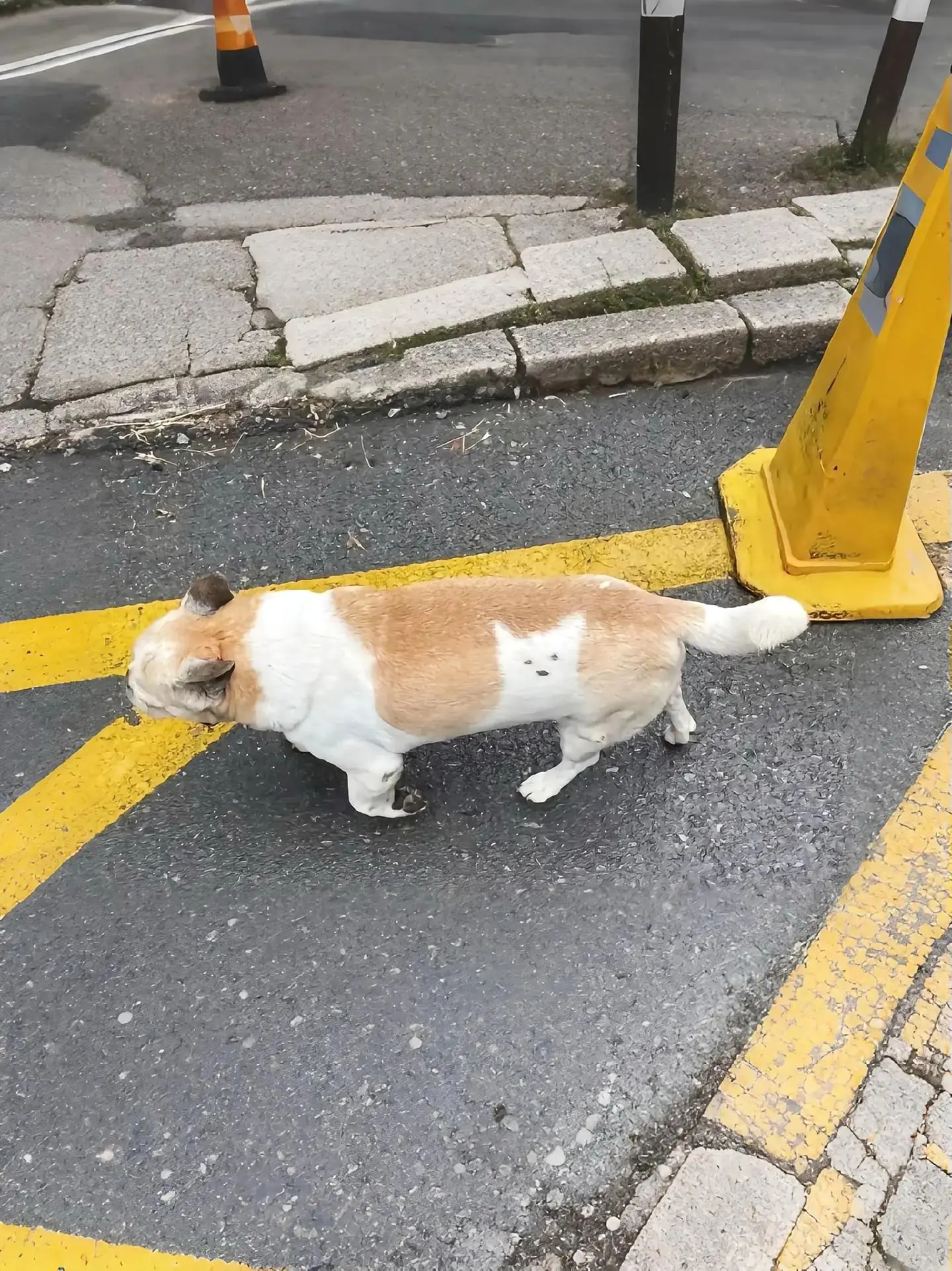 新谈的对象纹身上了[好爱哦] 