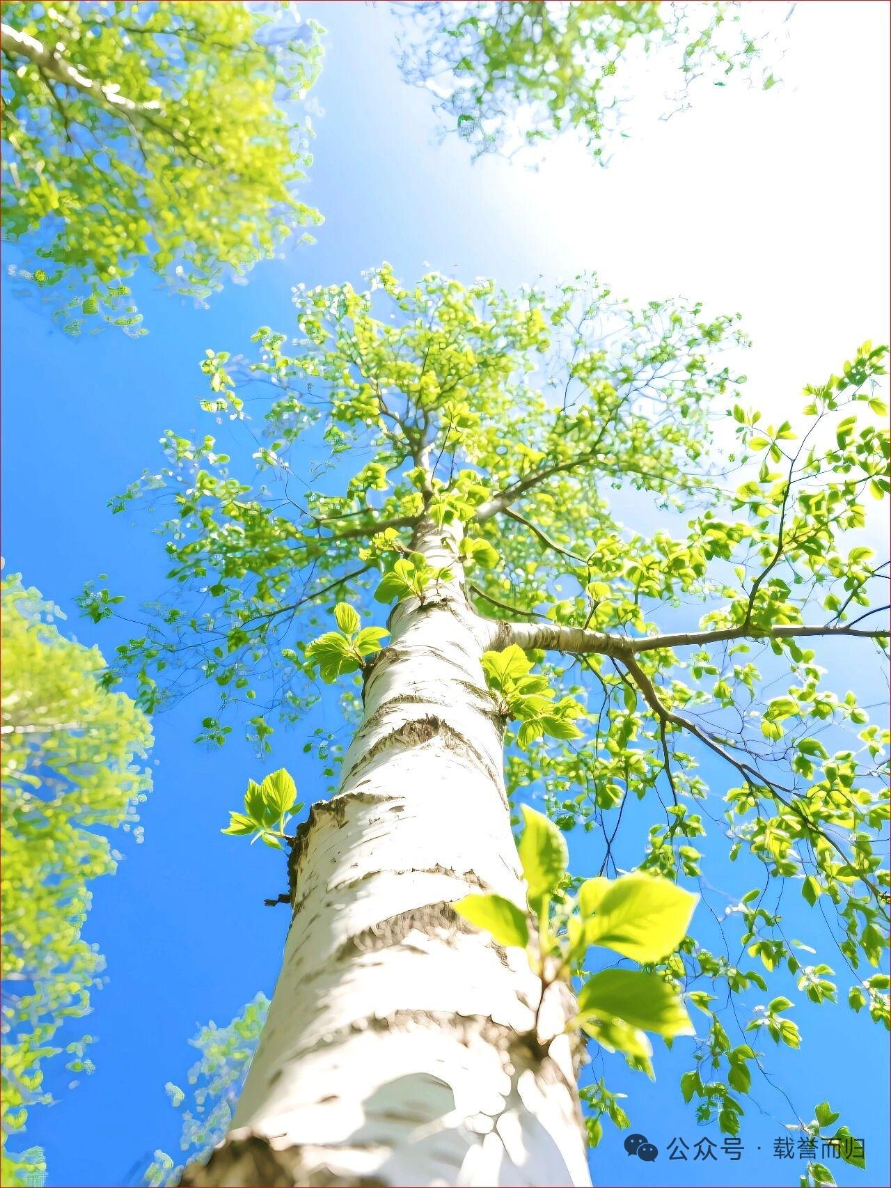 天蝎座女生大部分都是御姐，
不过甜妹类的御姐也很多。
天蝎女大部分都是大眼睛，高