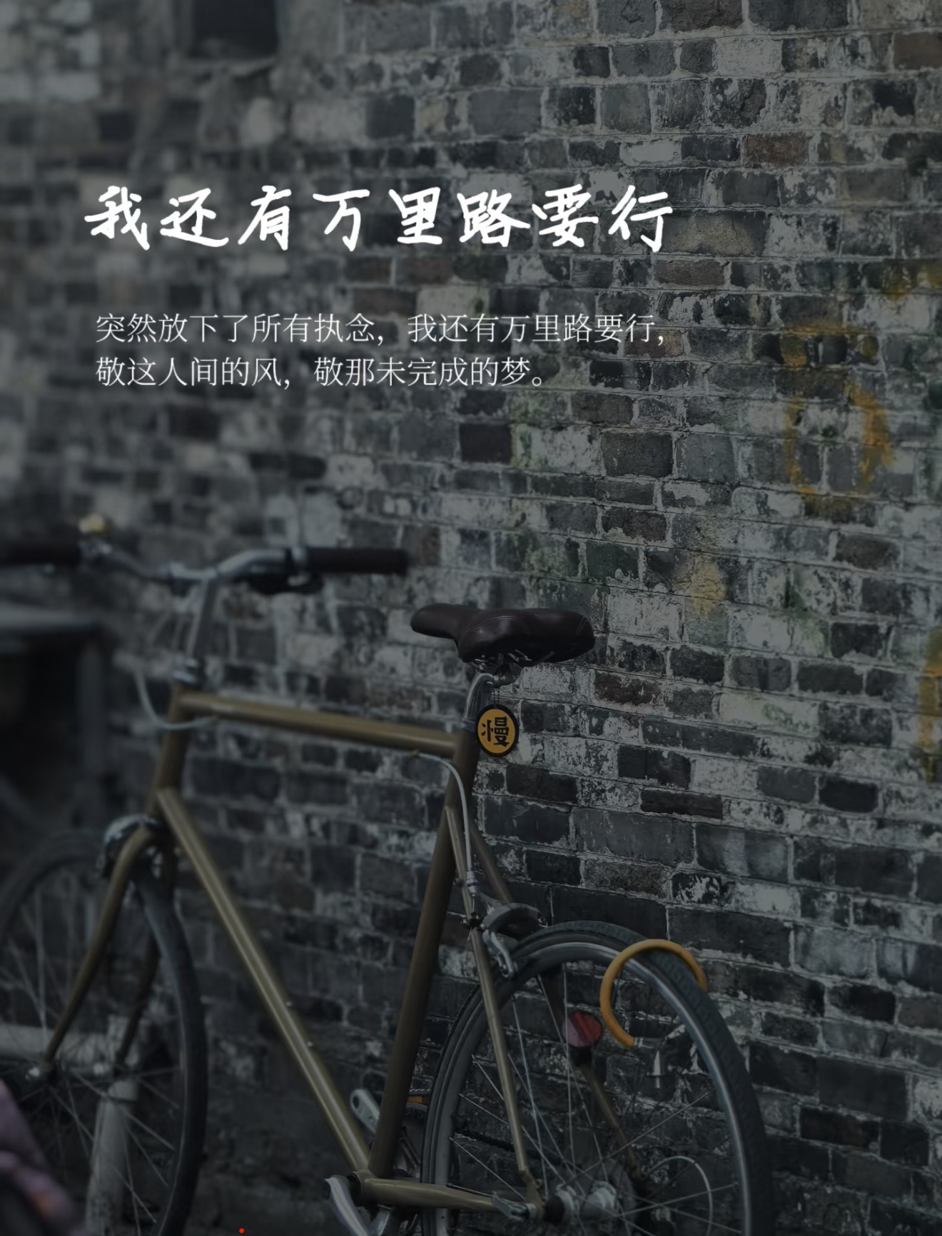 《我还有万里路要行》 