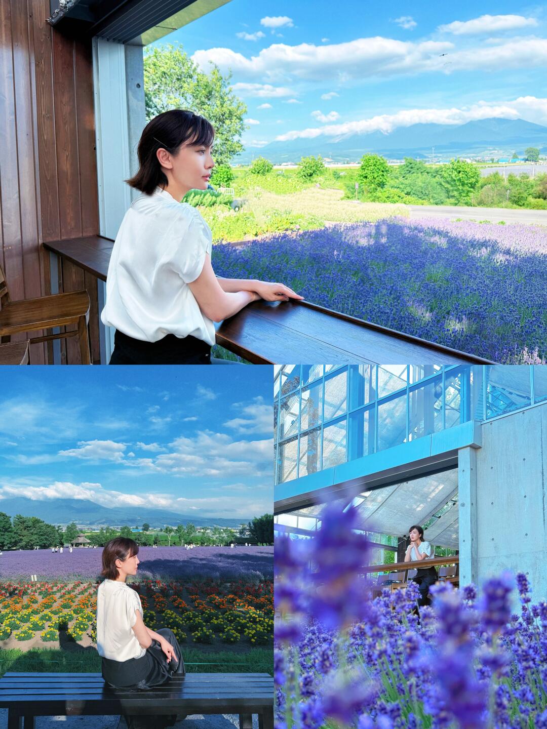 别被“照骗”了！富良野薰衣草真实体验大吐槽