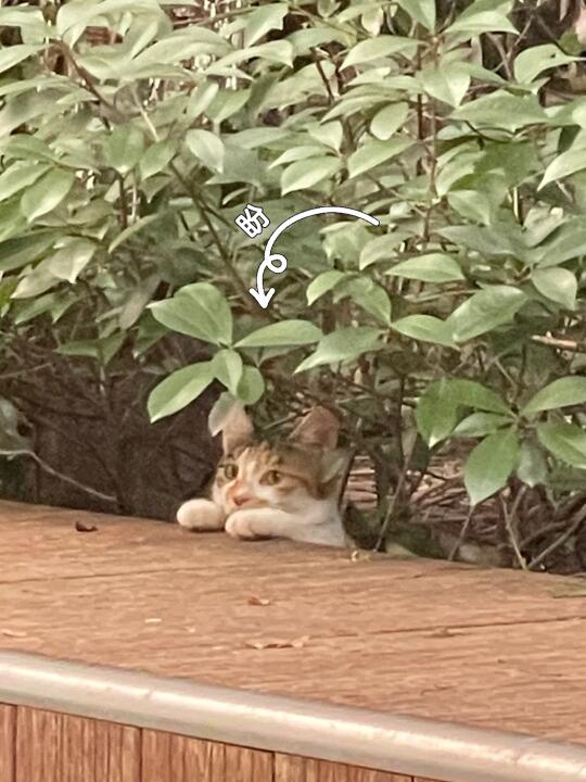 盼～有人可以把我带回家吗？！