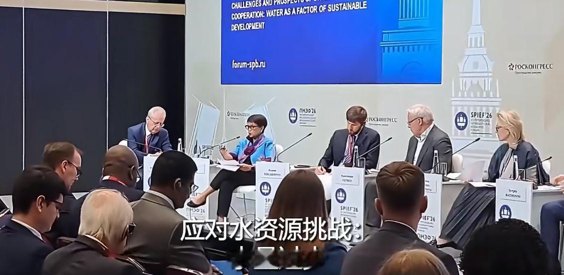 6月3日，联合国秘书长水事特使马尔苏迪在圣彼得堡国际经济论坛上，用一句话概括了全