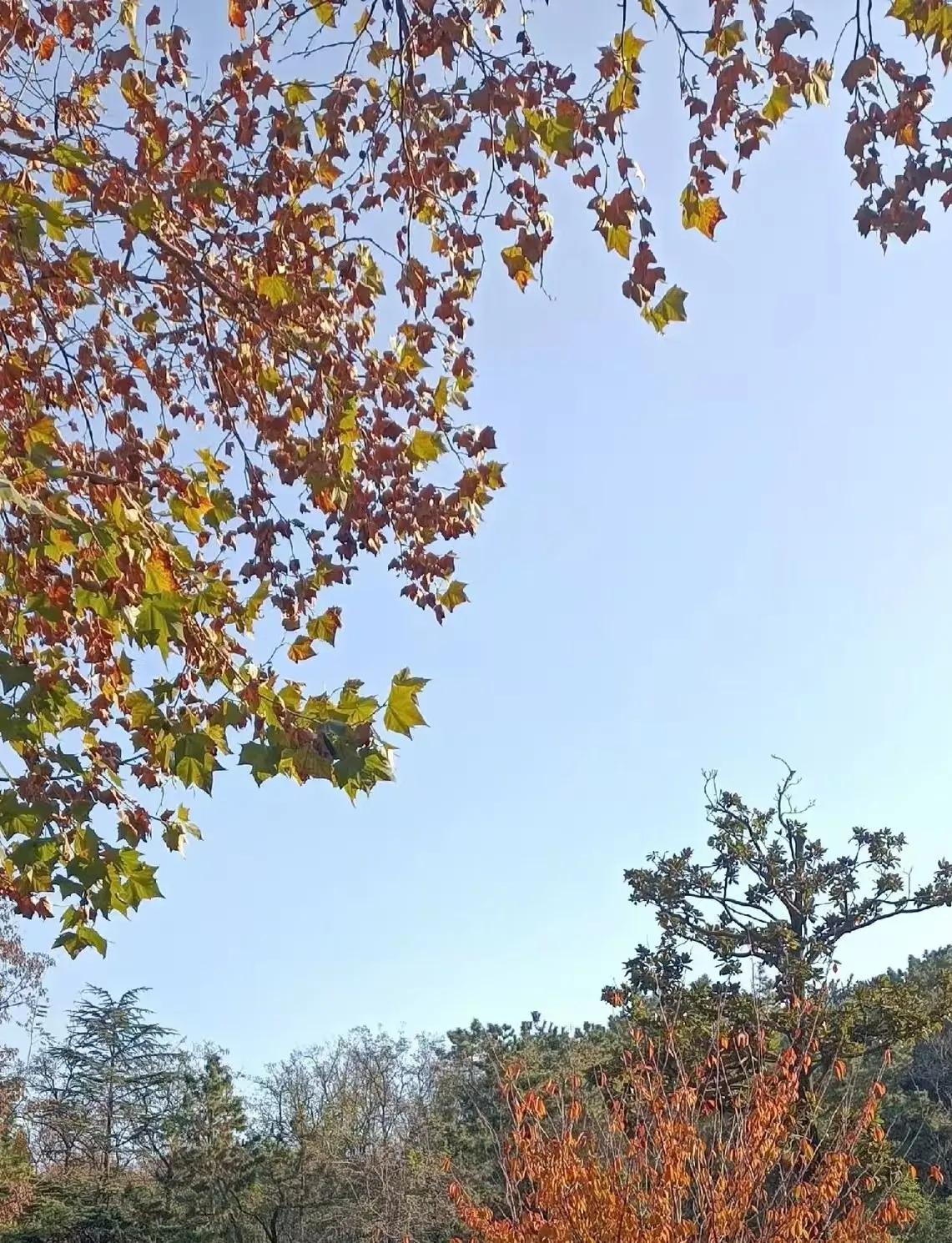 喜欢抱怨的人，听不进别人的话。
在他们眼里，全世界都错，就自己对。
对这种人，闭