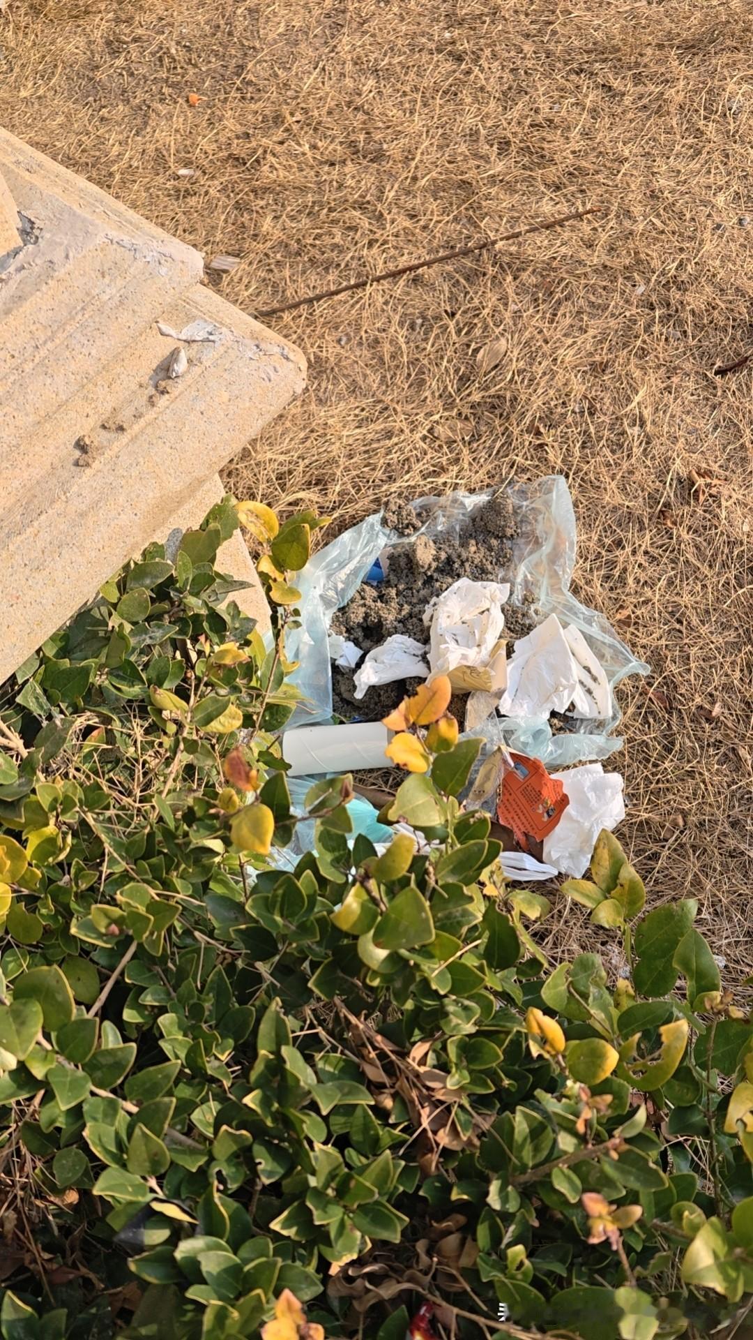 今天是金碧物业走后的第90天。

昨天不知是哪位业主把猫屎扔在了1单元走廊前面，