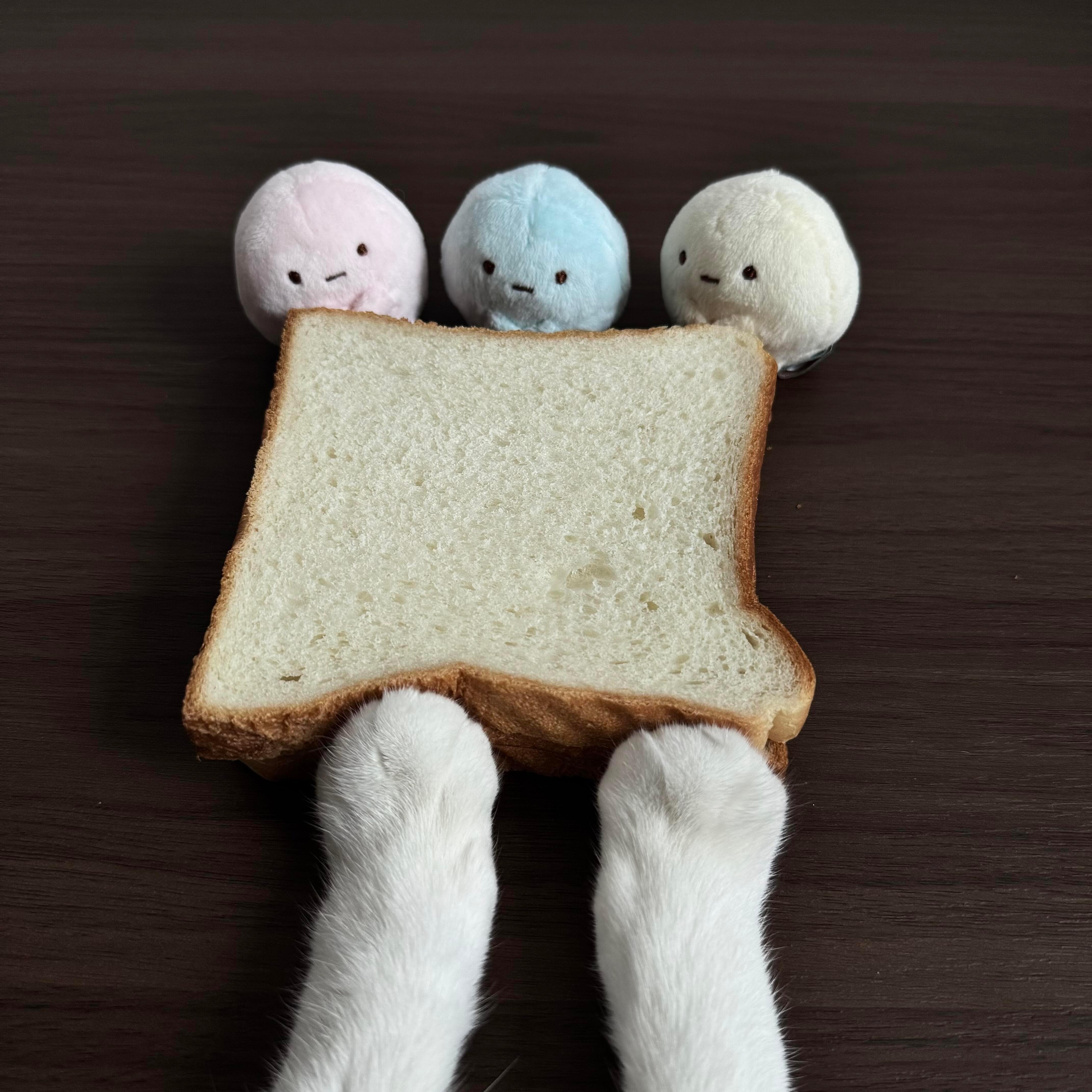 小猫头像 🧁人，和咪一起吃饭吗😋 📕Jade 