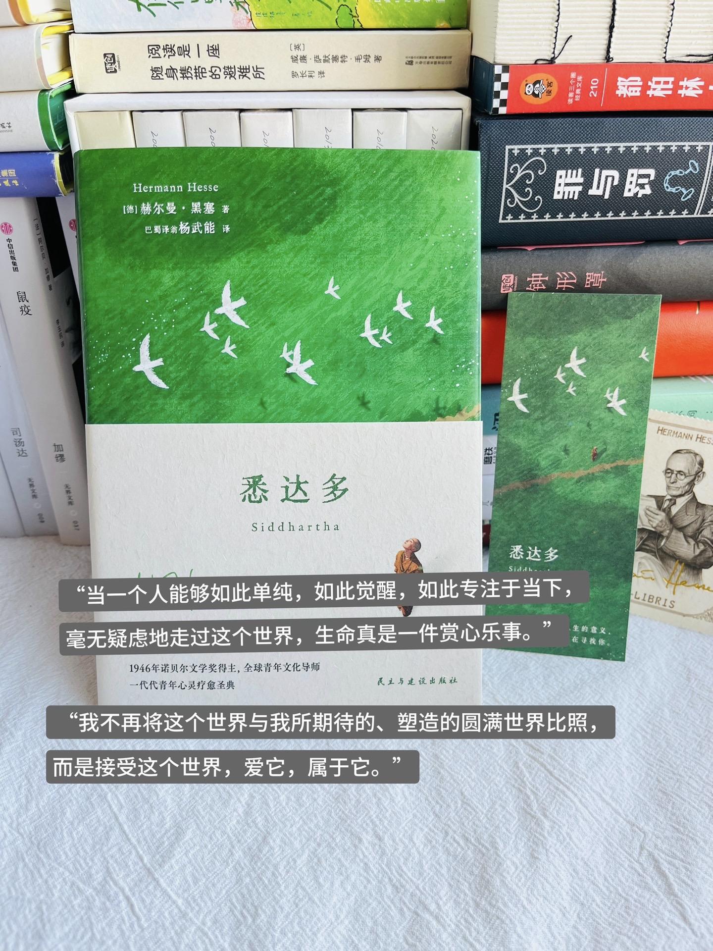 在生命的河流中听见自己。悉达多的每一步探索——无论是极致的精神净化，还...