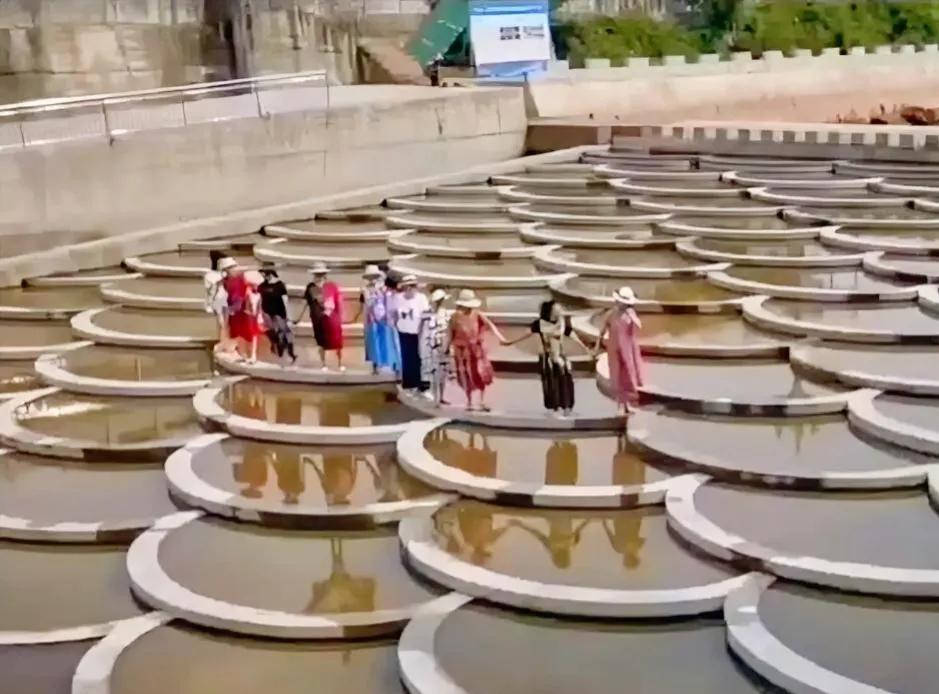 积点口德吧！
网上为什么都在讽刺这群退休老人，怎么没人说水为什么突然涨了?
她们