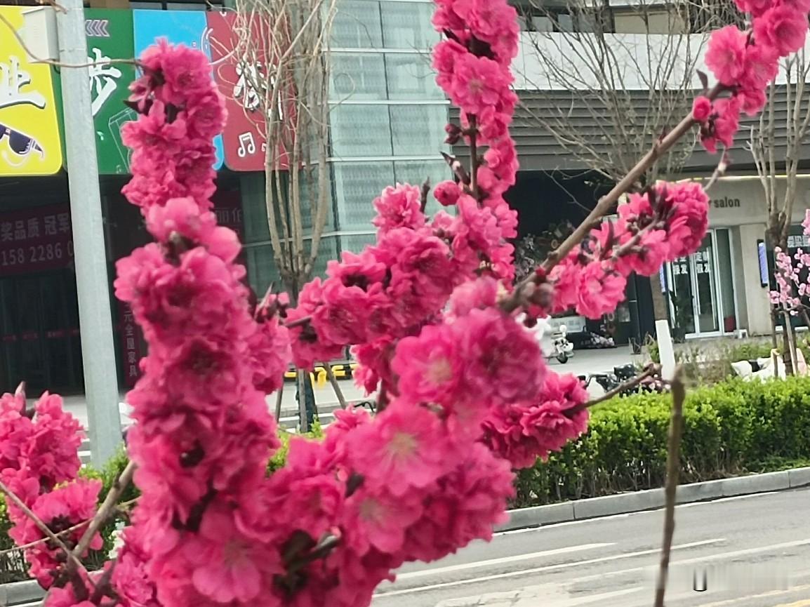 一时的悔改大多是权衡利弊后的妥协，不是真心收心。只要外界诱惑到位、机会合适，骨子