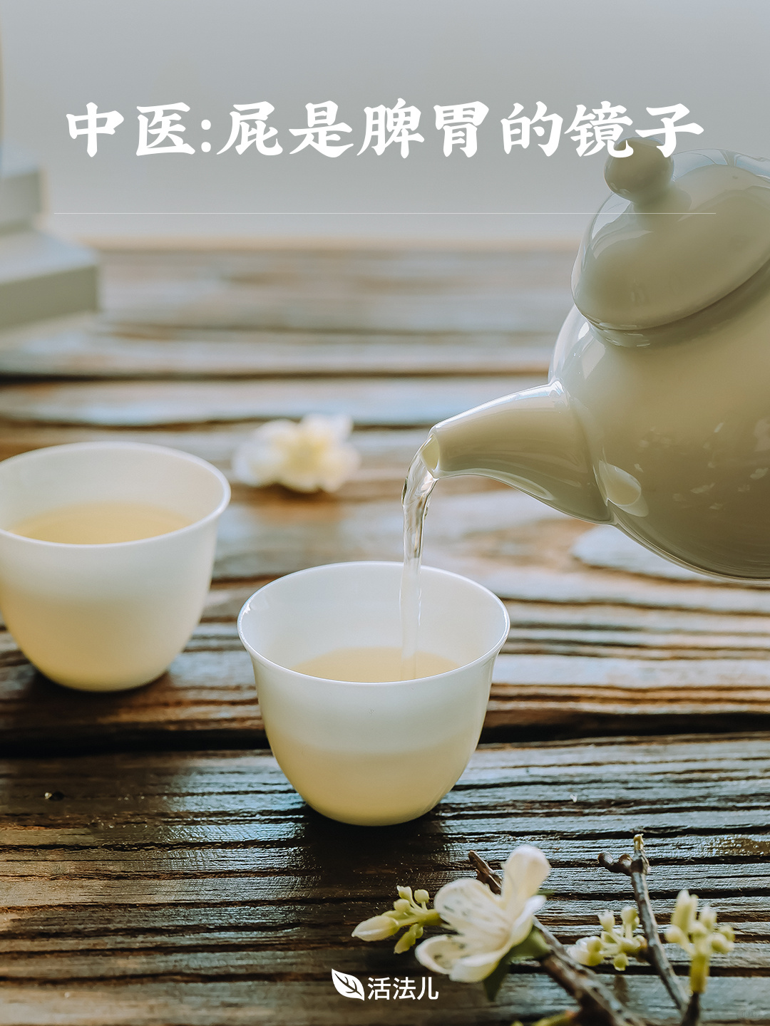 中医：屁是脾胃的镜子