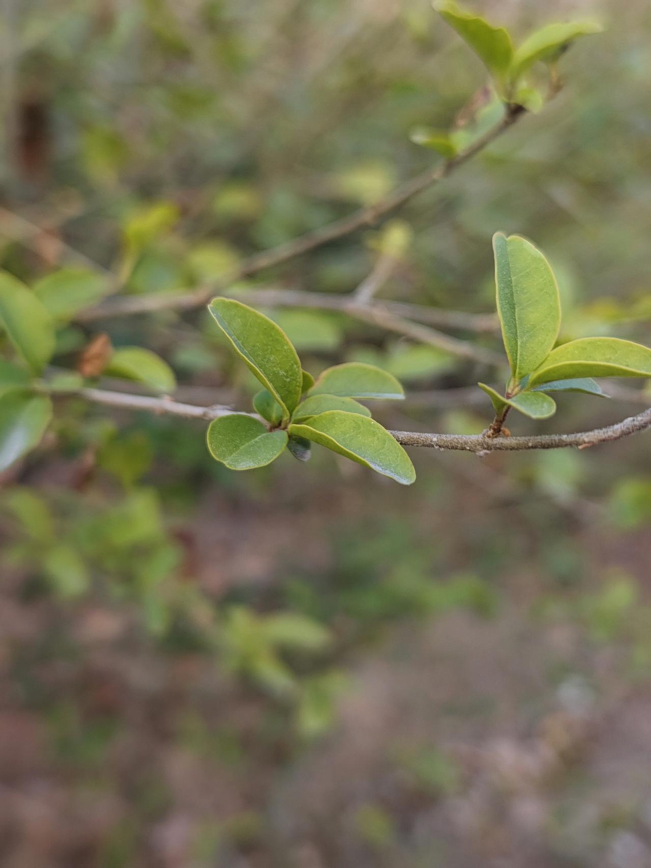 我们都要做聪明人，做有智慧，有慈爱，又肯诚实，对人对己的勇者，就算天大的事情来了