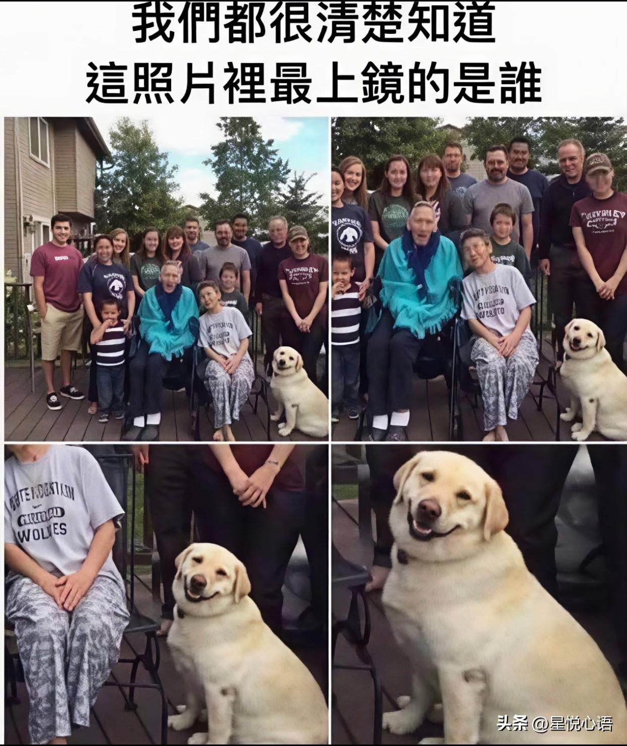 我们都很清楚，最上镜的是谁？
修狗还知道侧着身子来显瘦[捂脸][捂脸]