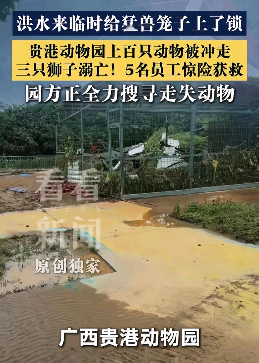 广西捕蛇者称累计抓获两三千条蛇学学广西动物园的做法，就是在天灾面前，我们可能真的