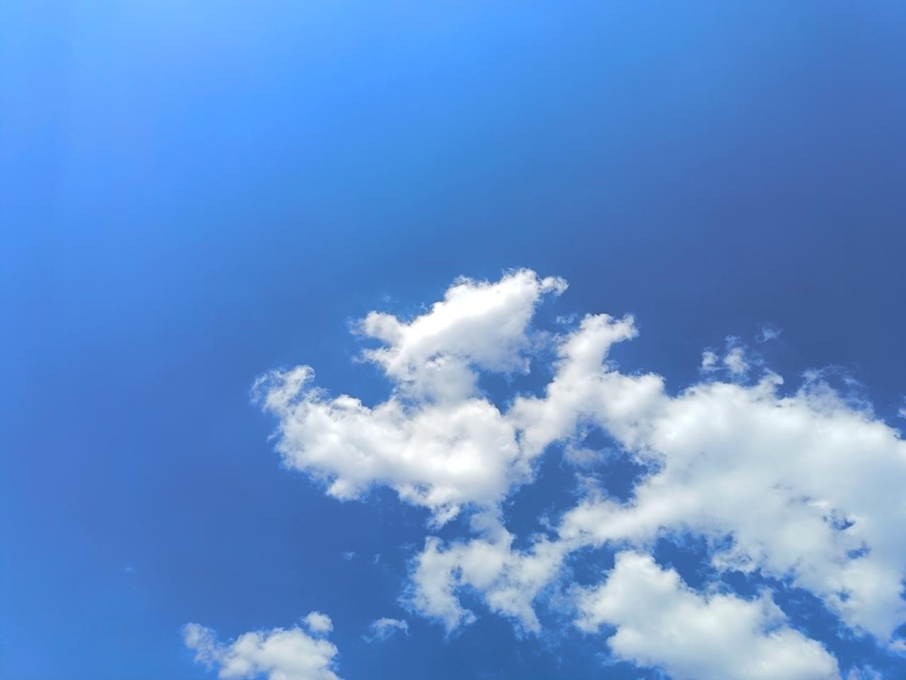 今年五一最舍不得删的照片昨天立夏，也是小孩假期的最后一天，下午带着孩子去山上转了