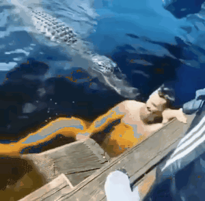 坟头草应该有一米高了吧，。。。。