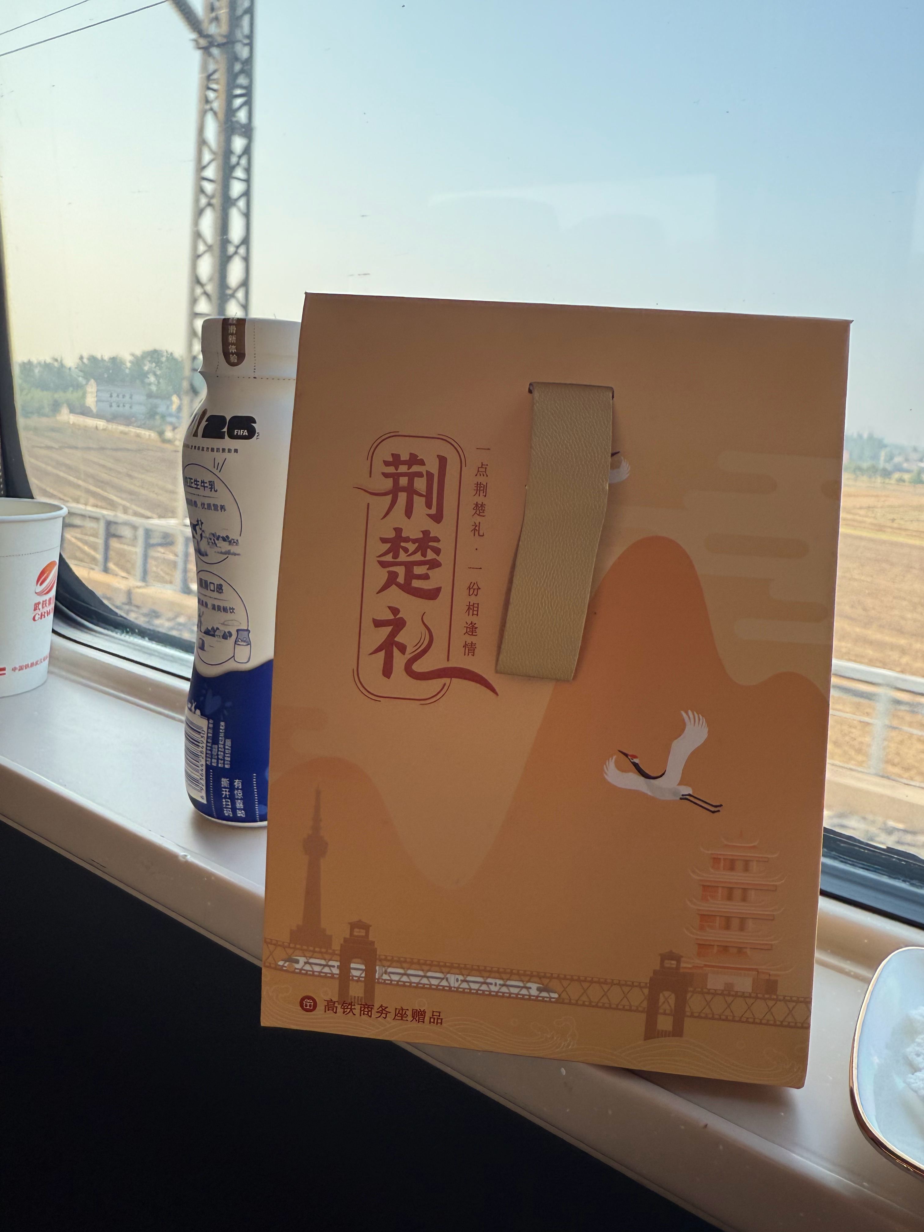 好了 回去高铁是 九个小时 又打破纪录了不过第二程应该是鱼骨包厢 总得体验一下