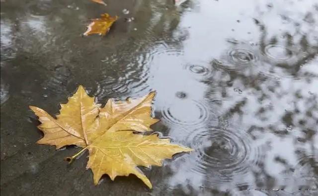 不怕八月十五晴，就怕八月十五雨，中秋下雨有什么征兆？
 
农历八月十五，既是万家
