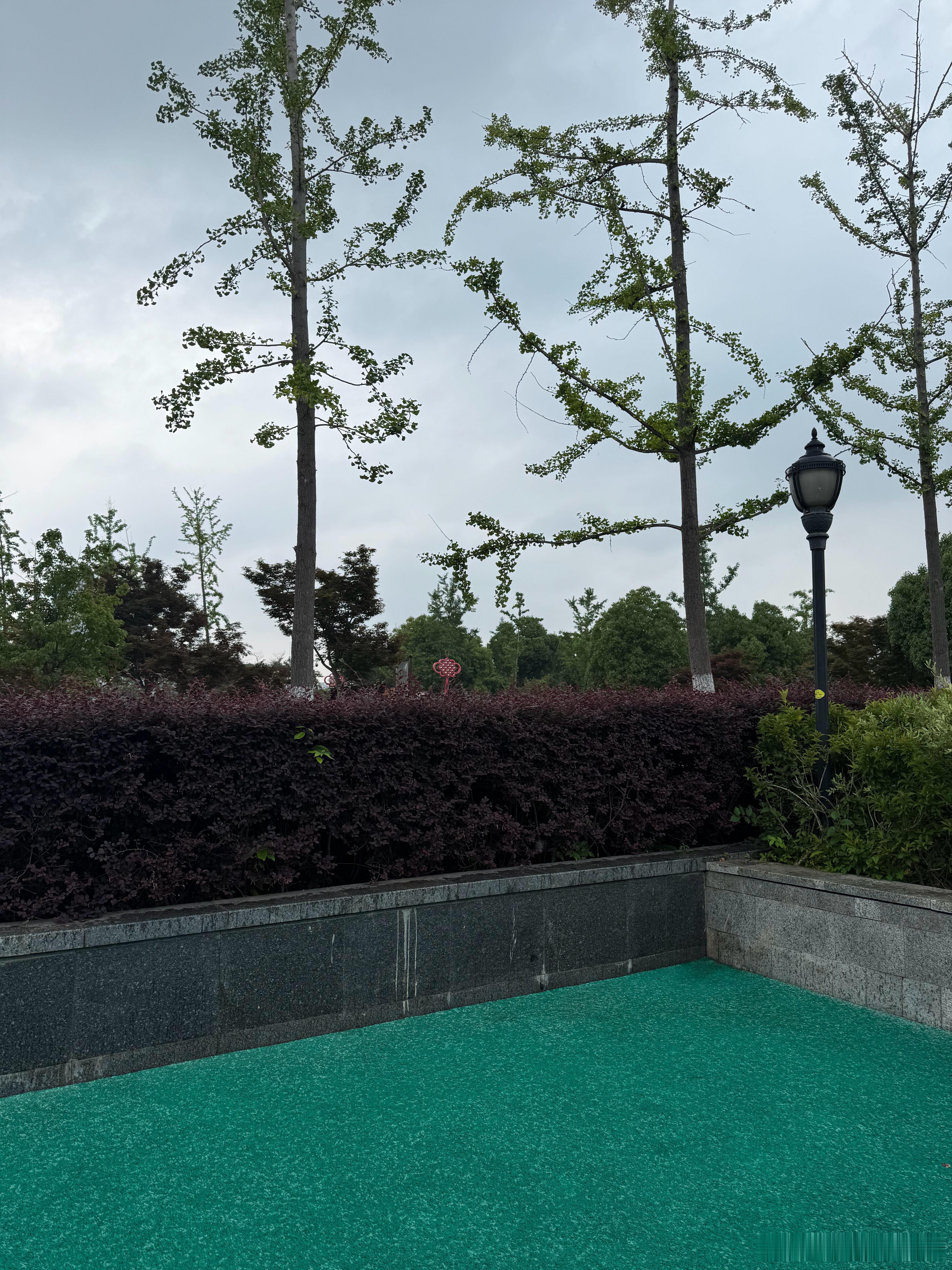 跑步🏃‍♂️中，下雨了……也是一种美好！总有美好在路上和好运瞬间好搭 ​​​