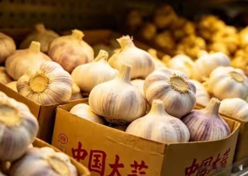 笑不活了！中国大蒜竟被美国列为“国家安全威胁”。
 
4月20日，咱们驻美大使谢