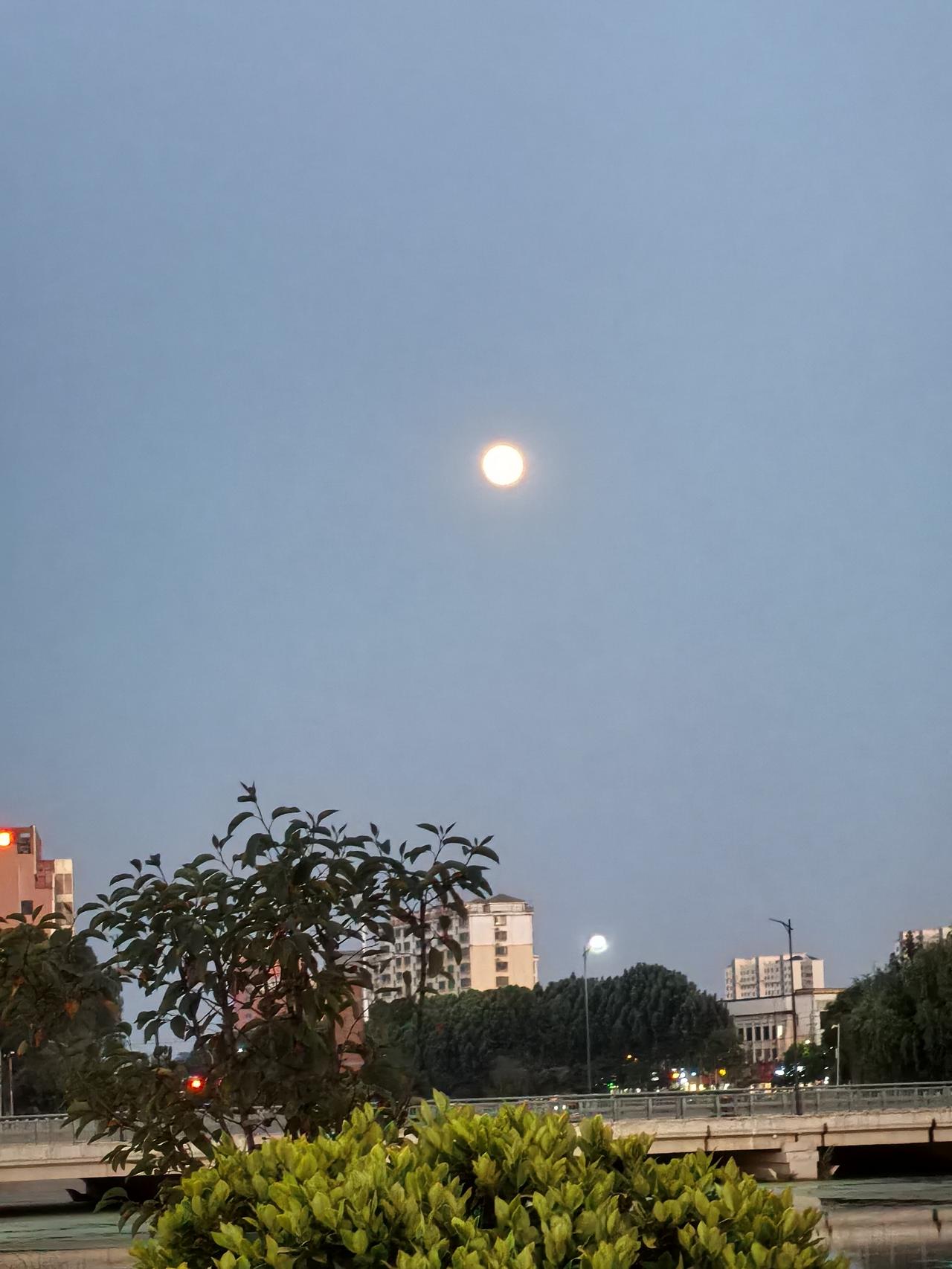 今天是二十四节气小满第10天，再有五天就是芒种。老家仅靠沭河岸边，属于地肥水美的