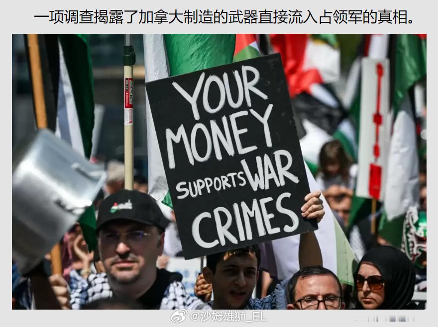 Truthout的调查显示，尽管加拿大政府为安抚民众而承诺减少向以色列的武器转让