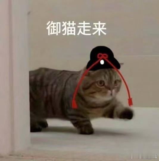 杨洋为了升金V发博 杨洋快恢复09营业传统！好看的人就该多发，我们天天来陪你～ 