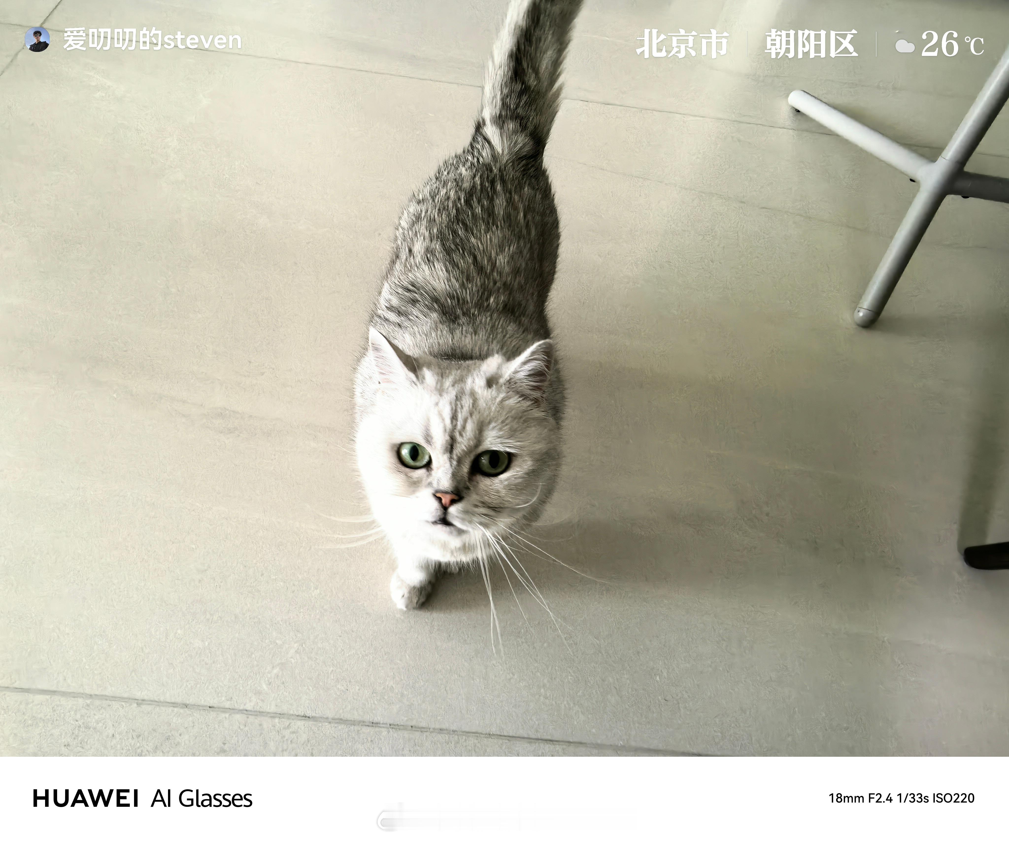 华为AI眼镜最方便的就是随时记录生活的方式，精彩瞬间一秒记录。拍萌宠，拍爱人，拍