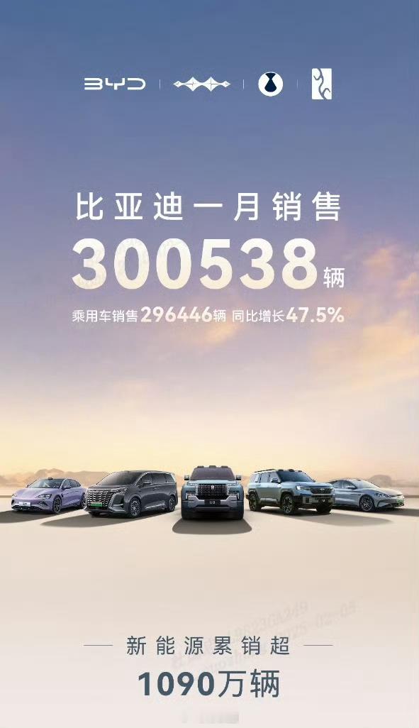 比亚迪凭借2025年1月销量30.05万辆，再次成为中国品牌汽车销冠，凭借产品和