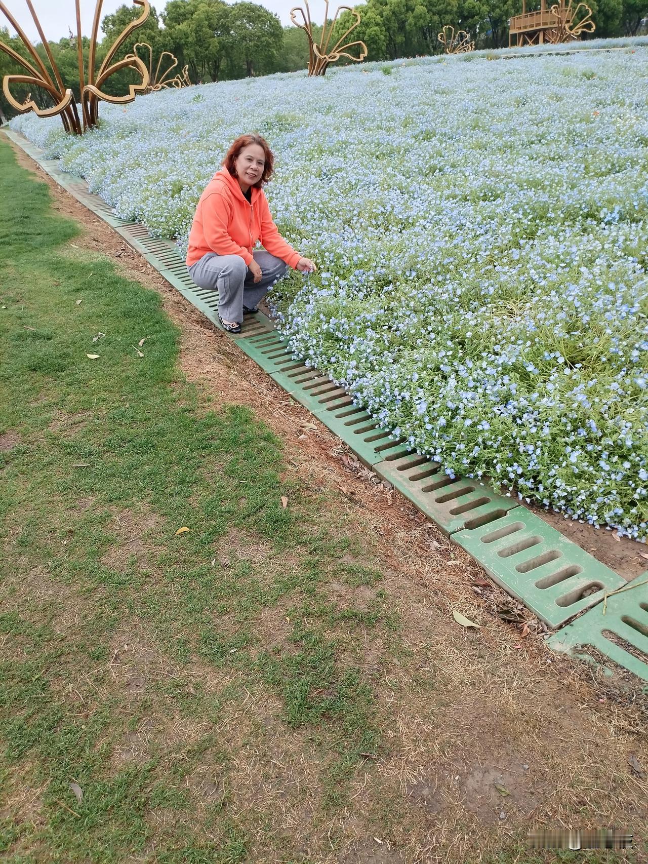 在花海中寻找童年的快乐🌸🌼