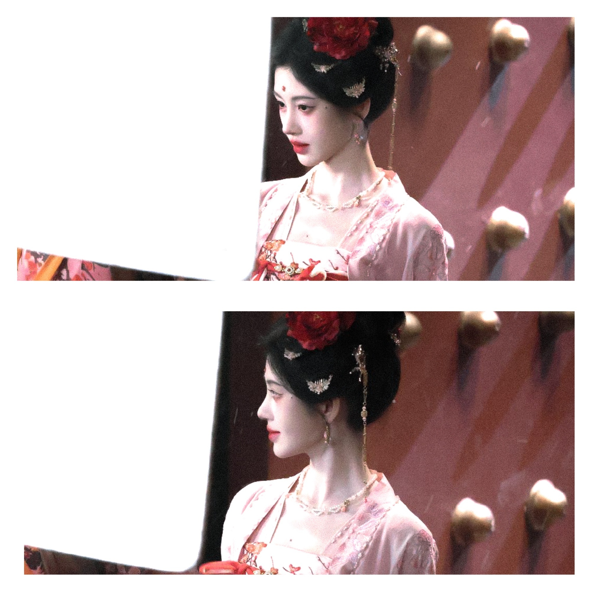 鞠婧祎苏绿夏jjy鞠婧祎万花世界“鲜花盛开在四季而你是我的七日限定”​​​