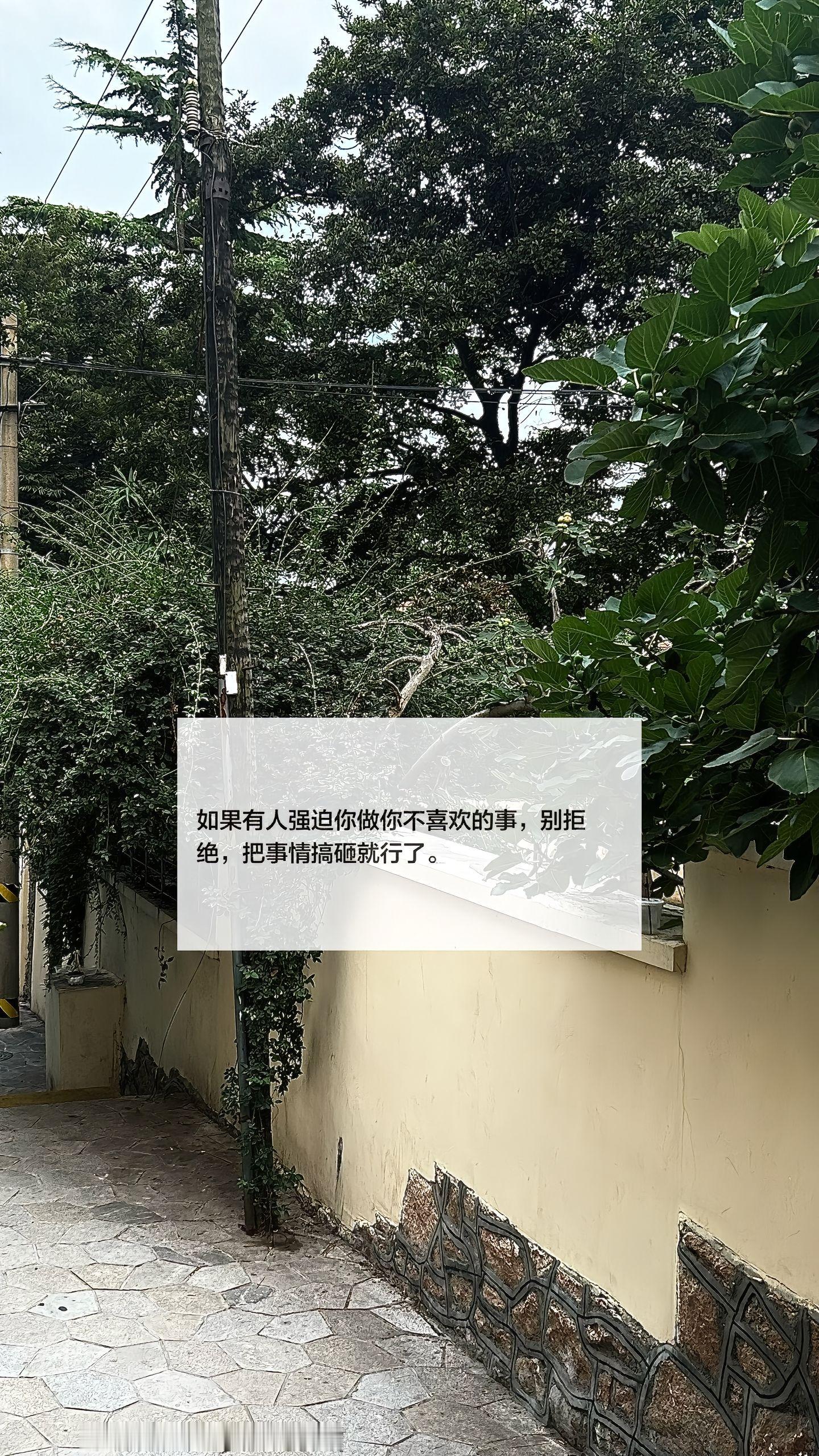 神性与灵性最高的一年 我反复的内观自己 ​​​
