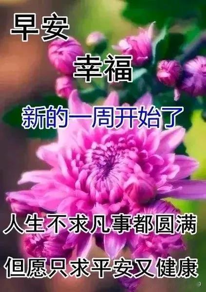 新的一周开始了，愿我的问候给你带来健康幸福，开心快乐，吉祥如意！🌹[福][比心