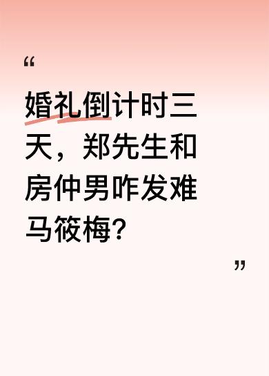 婚礼本是喜庆之事，可在这倒计时三天时，郑先生竟携手房仲男对马筱梅发难。更过分的是