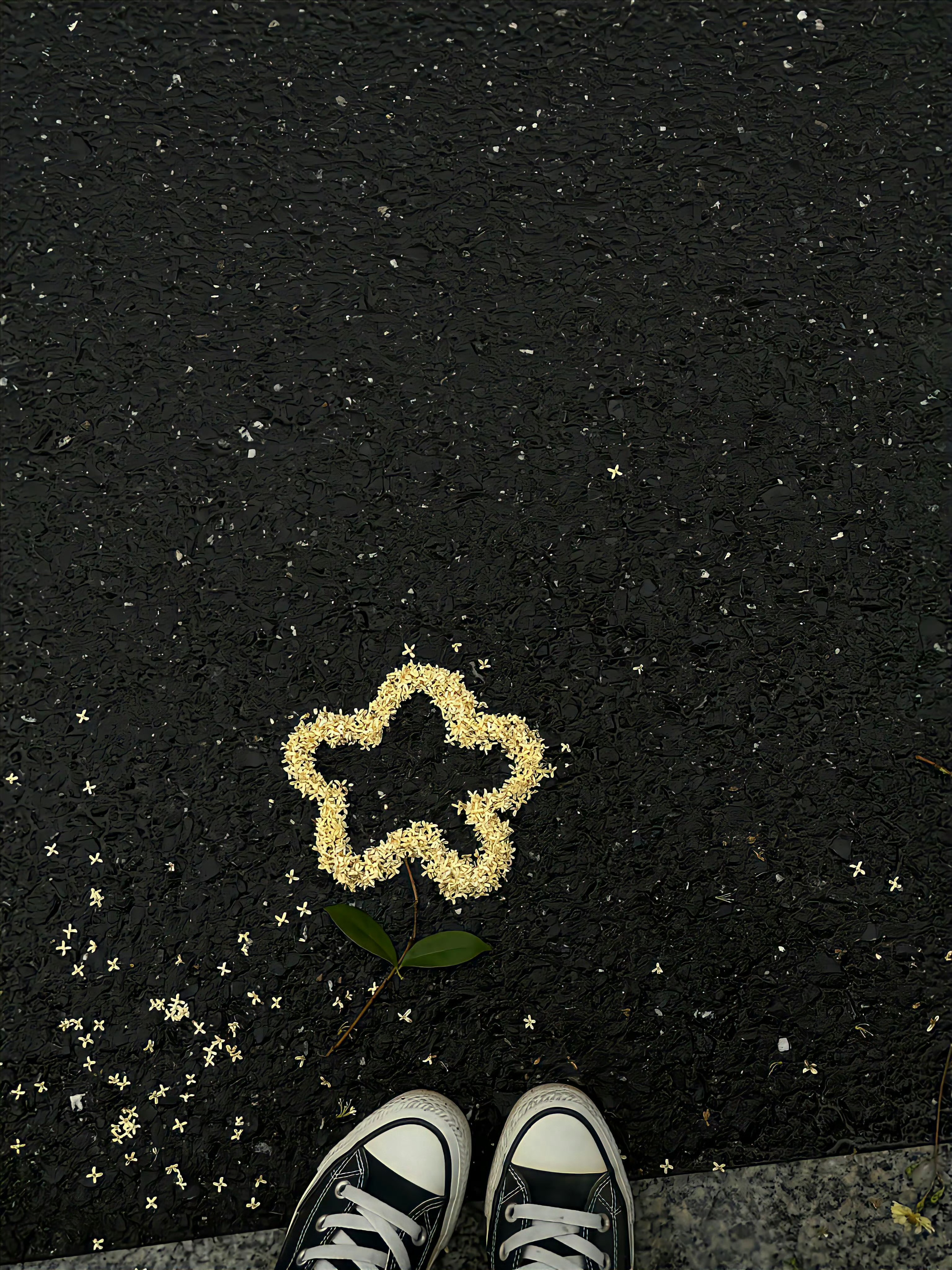 秋的味道 ​​​